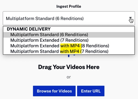 MP4로 프로필 수집